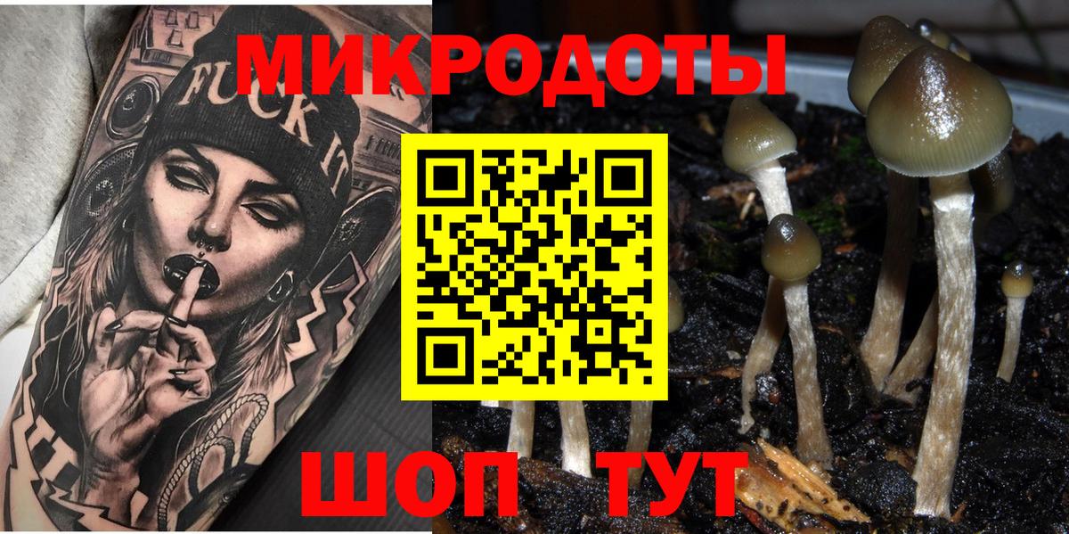 Ярцево  Псилоцибиновые грибы прущие грибы  Вход с VPN 